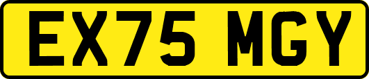 EX75MGY