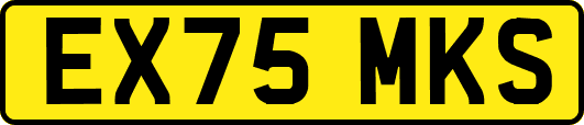 EX75MKS