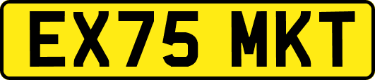 EX75MKT