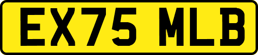 EX75MLB