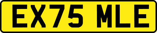 EX75MLE