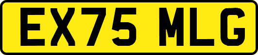 EX75MLG