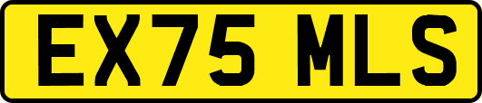 EX75MLS