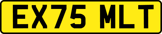 EX75MLT