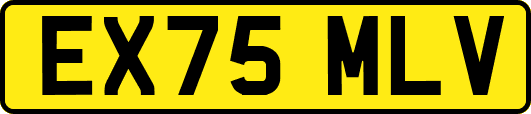 EX75MLV