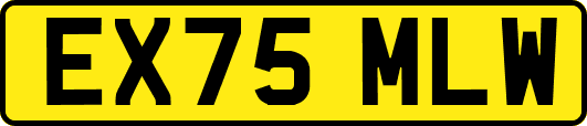 EX75MLW