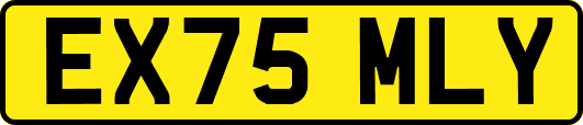 EX75MLY