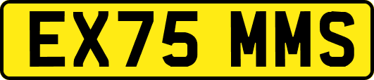 EX75MMS