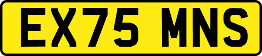EX75MNS