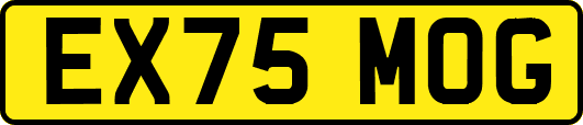 EX75MOG
