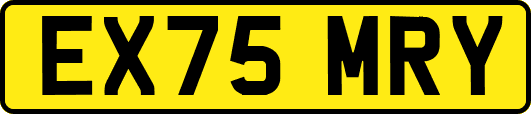 EX75MRY
