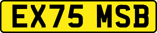 EX75MSB