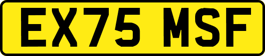 EX75MSF