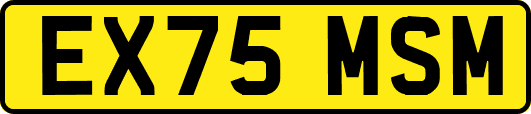 EX75MSM