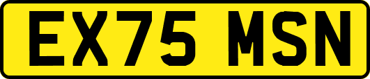 EX75MSN