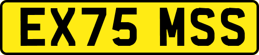 EX75MSS
