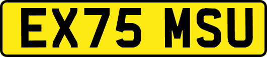 EX75MSU
