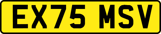 EX75MSV