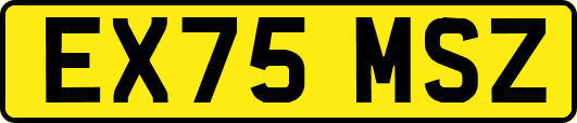 EX75MSZ