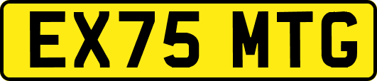 EX75MTG
