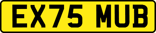 EX75MUB