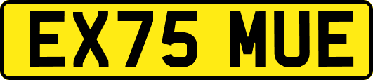 EX75MUE