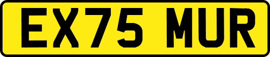 EX75MUR