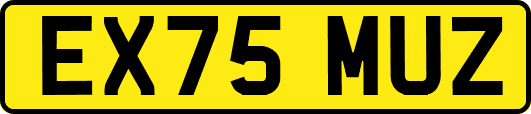 EX75MUZ