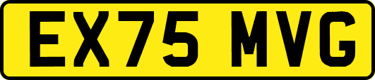 EX75MVG
