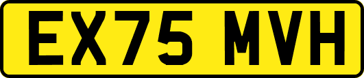 EX75MVH