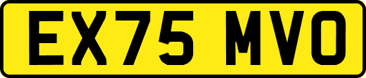 EX75MVO