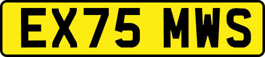 EX75MWS