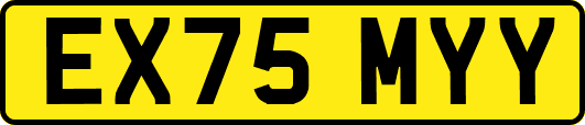 EX75MYY