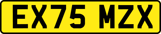 EX75MZX