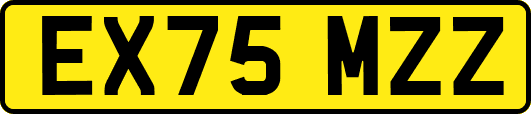 EX75MZZ