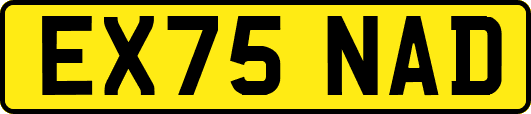 EX75NAD