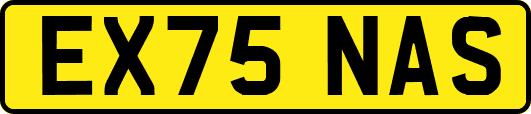 EX75NAS