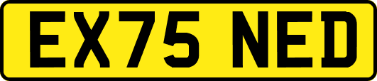 EX75NED