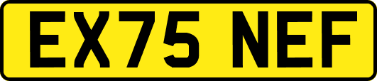 EX75NEF