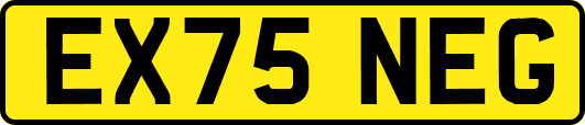 EX75NEG