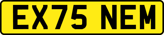 EX75NEM
