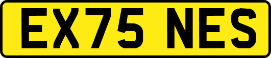 EX75NES