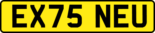 EX75NEU