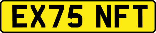 EX75NFT