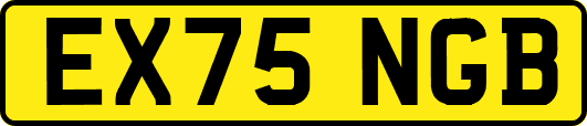 EX75NGB