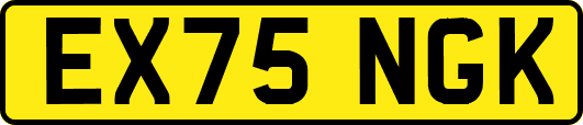 EX75NGK