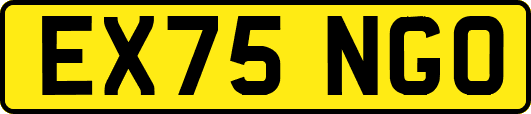 EX75NGO