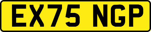 EX75NGP
