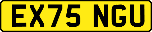EX75NGU