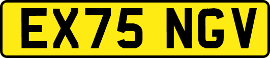 EX75NGV